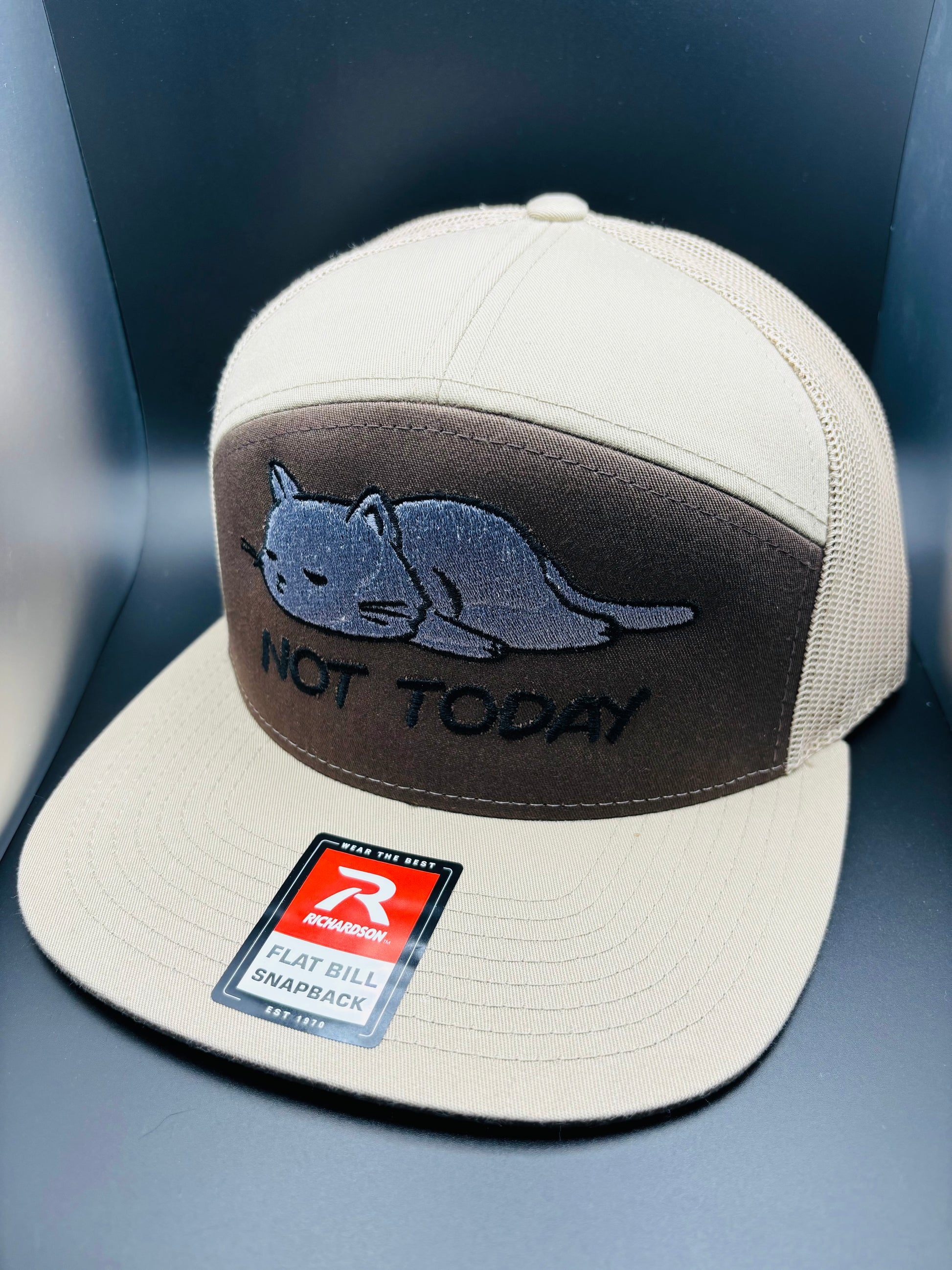 ‘Lazy Cat’ Embroidered 7 Panel SnapBack Hat - Ryze North 