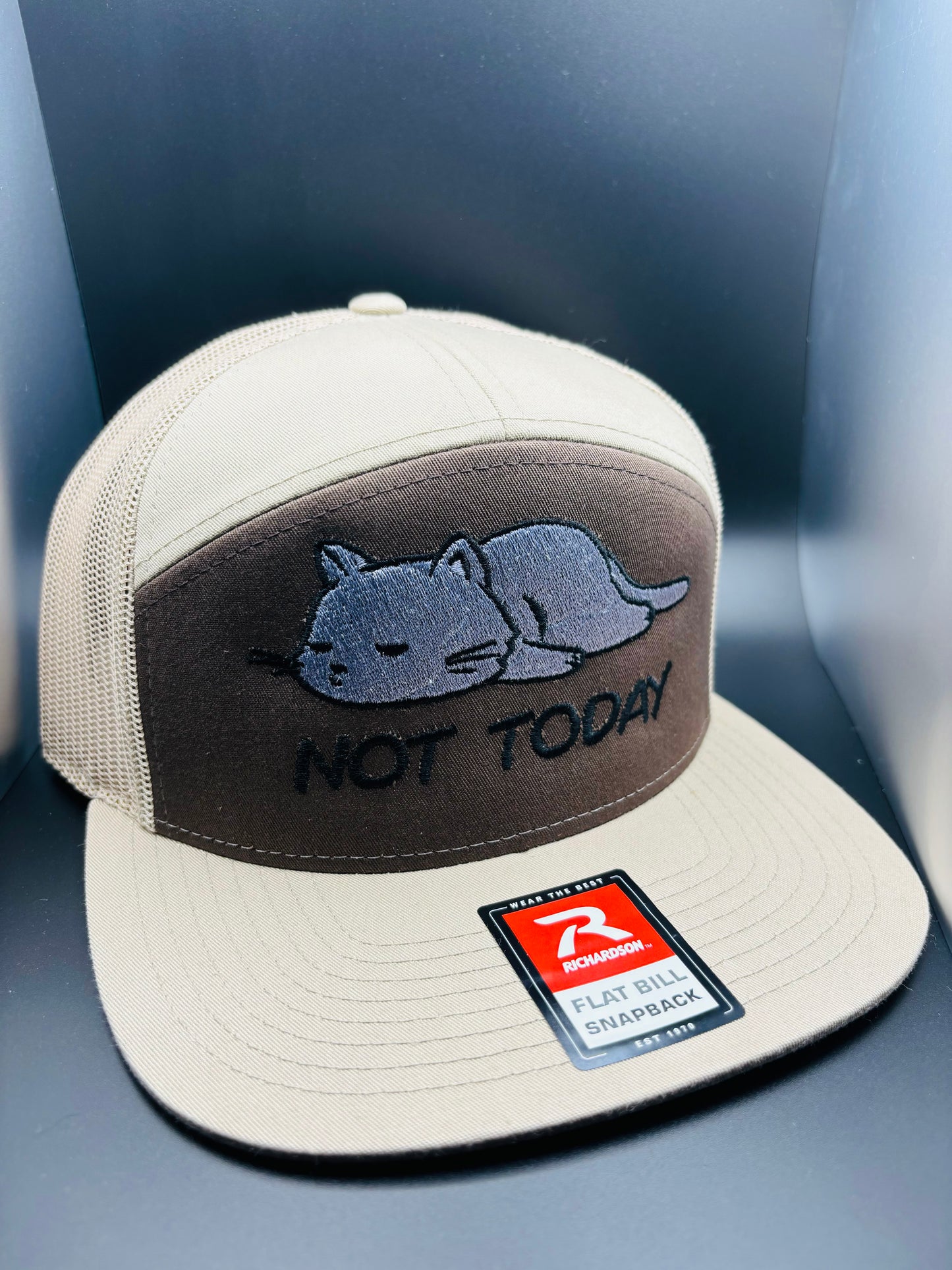 ‘Lazy Cat’ Embroidered 7 Panel SnapBack Hat - Ryze North 